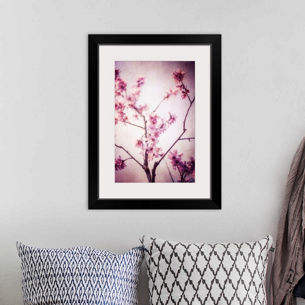 A bohemian room featuring Cherry tree in the spring with the addition of a photo texture