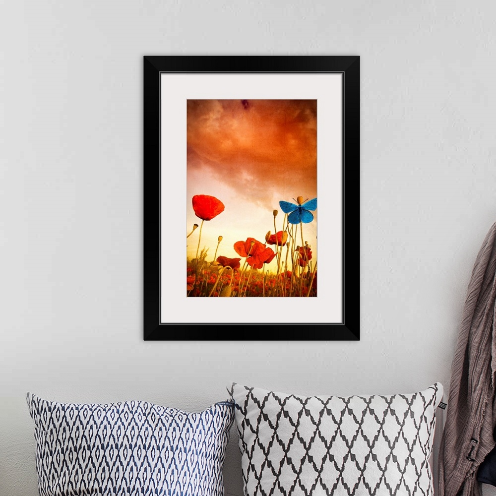 A bohemian room featuring Poppies Dream