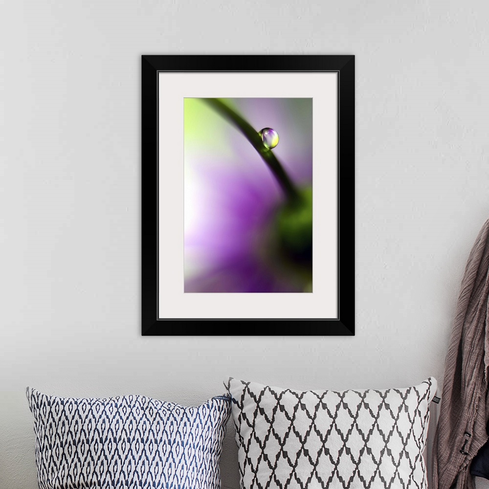 A bohemian room featuring A macro photograph of a water droplet resting on the stem of a flower.