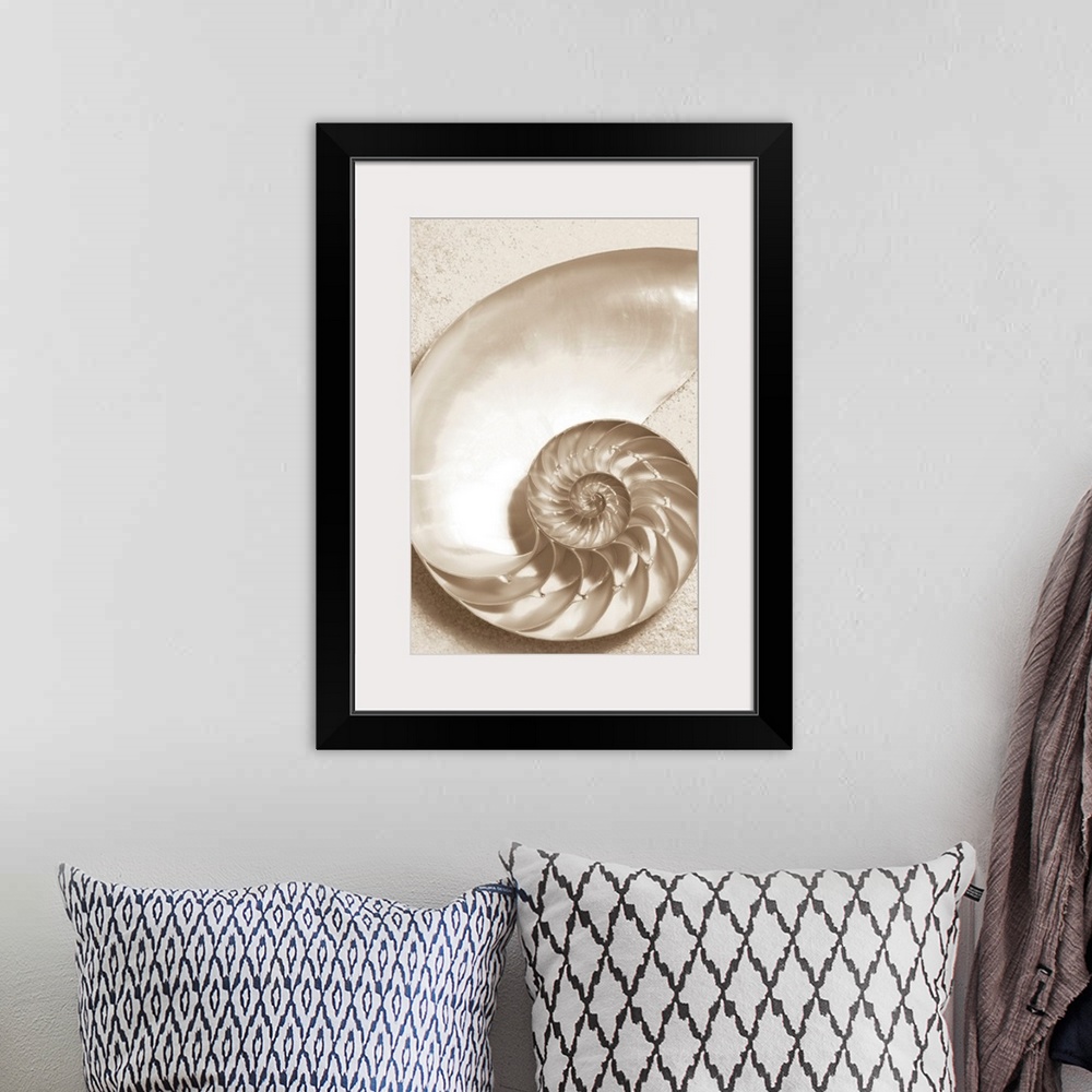 A bohemian room featuring Sepia toned image of the inside of a sea shell with it's twisting compartments and sand.