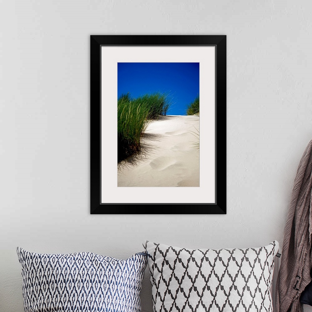 A bohemian room featuring This decorative wall art is a vertical photograph showing the detail of a path up a sand dune unm...