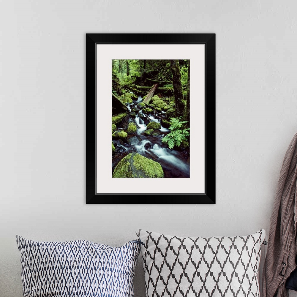 A bohemian room featuring Tall image on canvas of water rushing down and through a forest covered in moss.