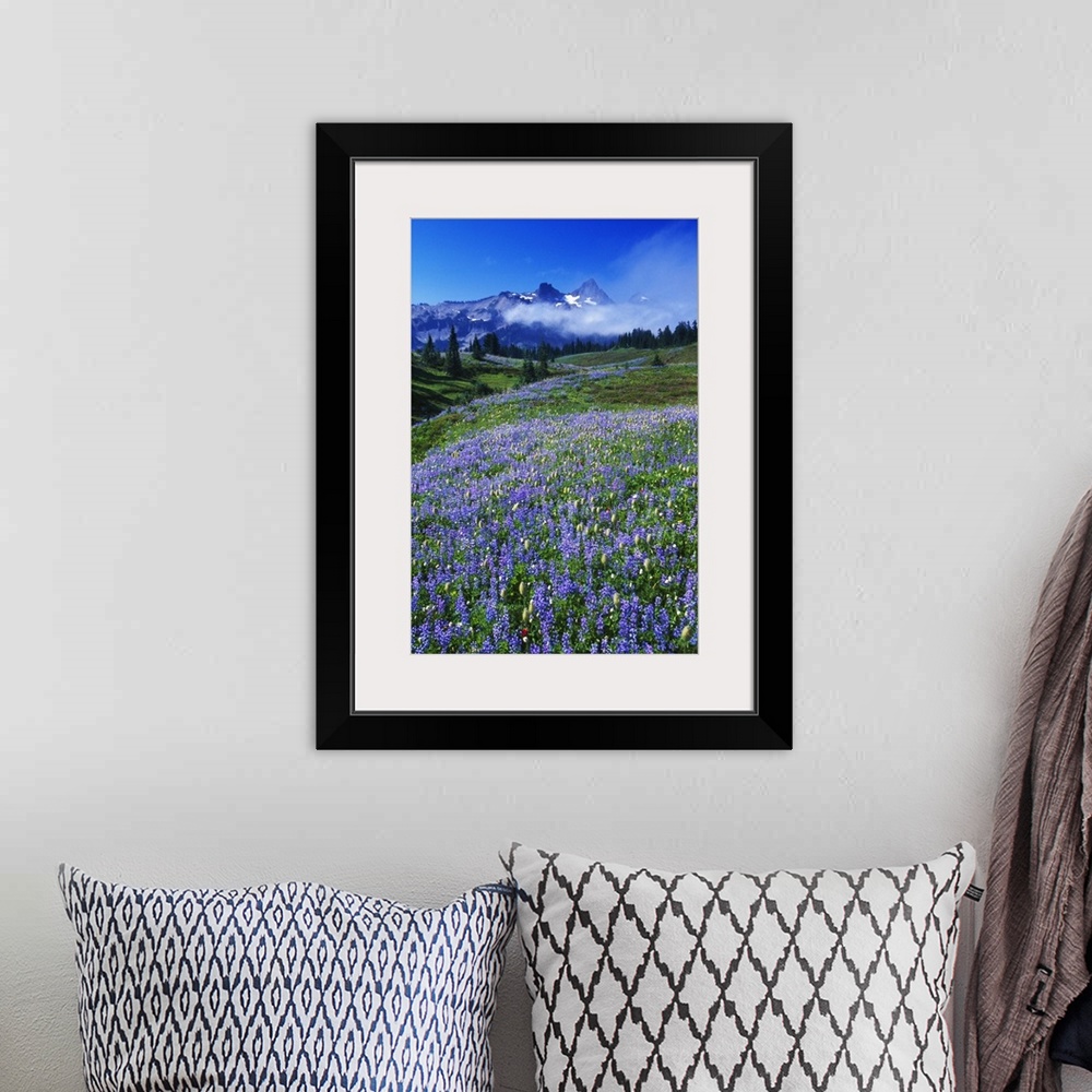 A bohemian room featuring Vertical photo of distant rocky mountain peaks at the edge of a lush temperate valley full of eve...