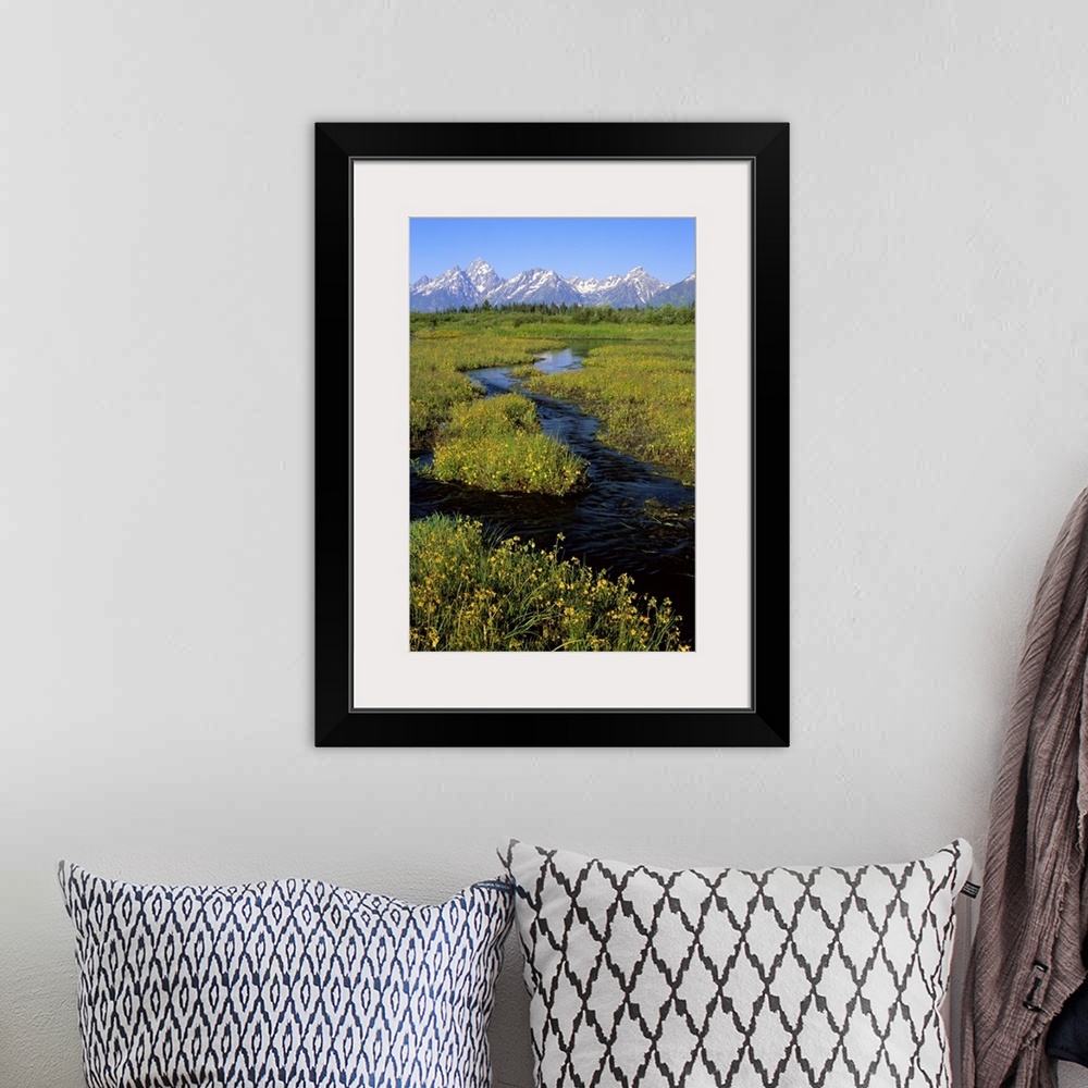 A bohemian room featuring Wyoming, Grand Teton National Park, Water flowing through the landscape
