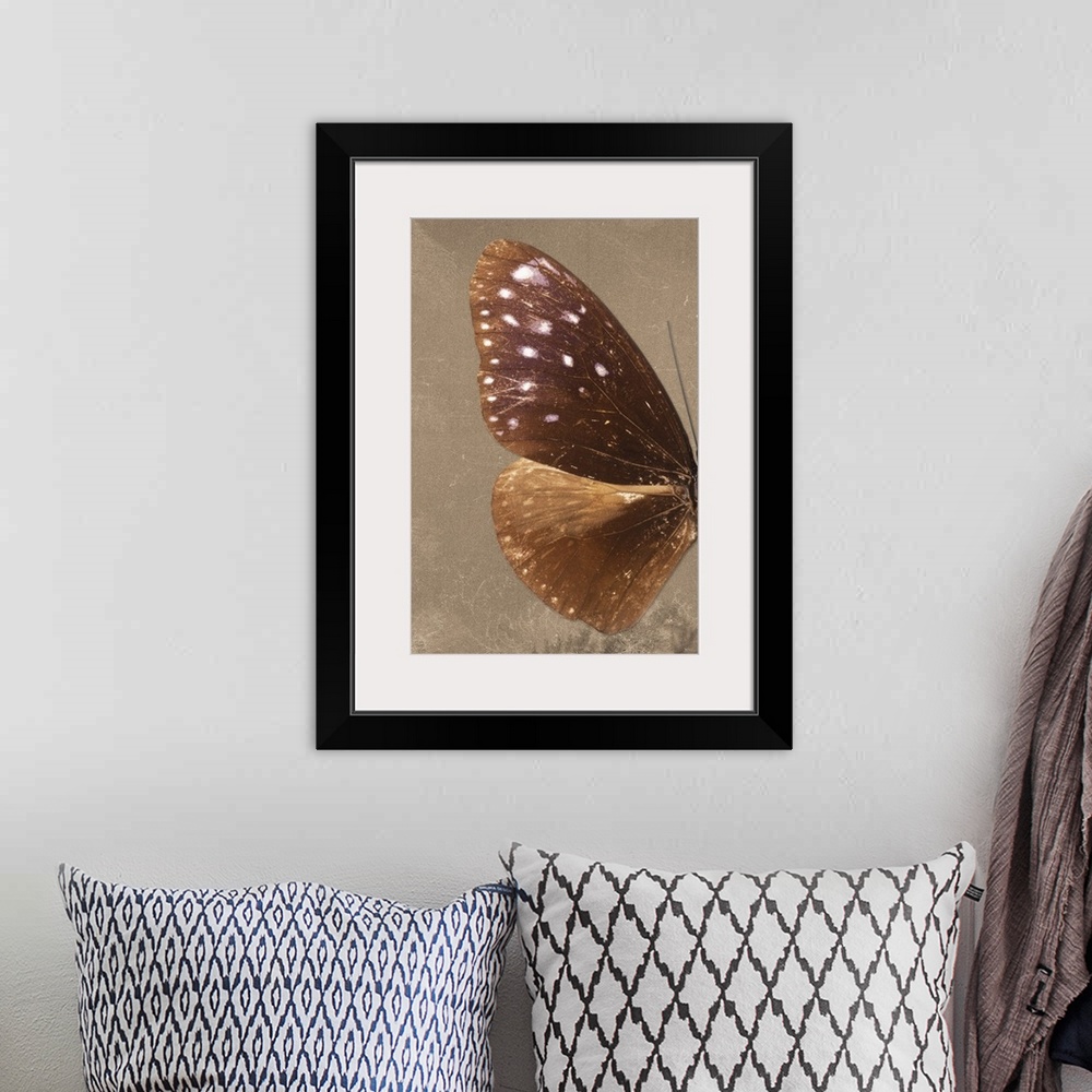 A bohemian room featuring Half of a butterfly on a brown sparkly background.