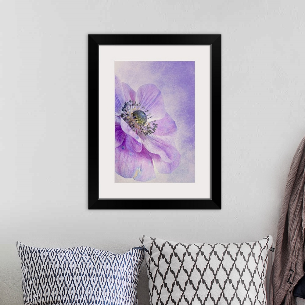A bohemian room featuring Large, vertical, close up fine art photograph of an anemone flower in bloom, on a background of s...