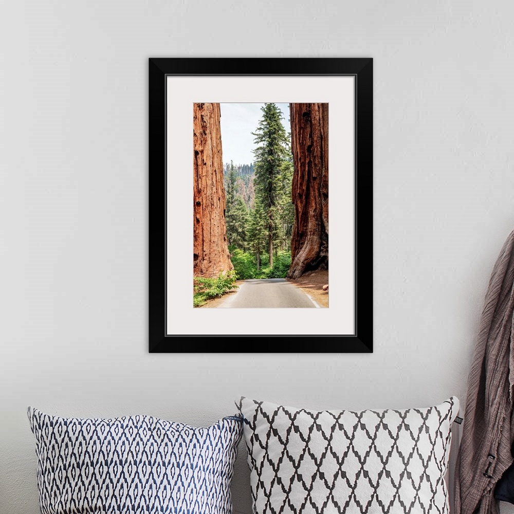 A bohemian room featuring A road splits two giant Sequoias in Sequoia National Park, California.