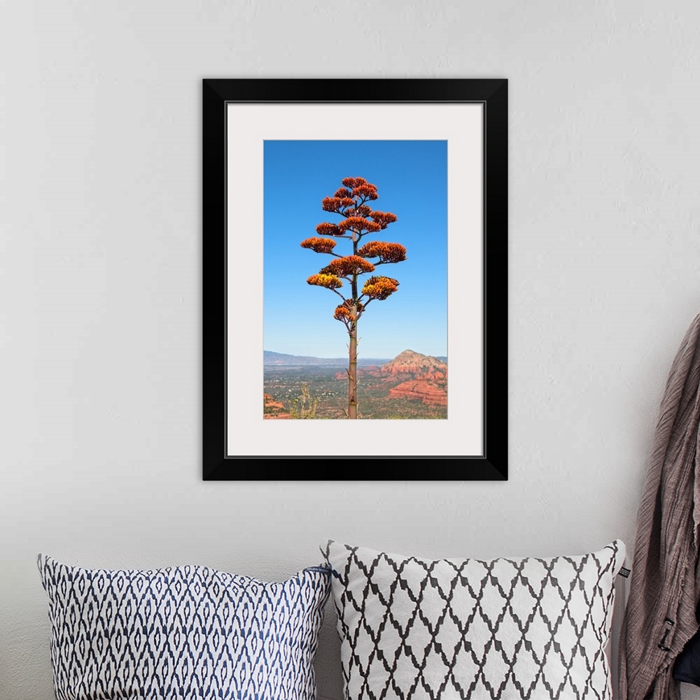 A bohemian room featuring Landscape photograph of red sandstone formations in the distance and an agave flower tree in the ...