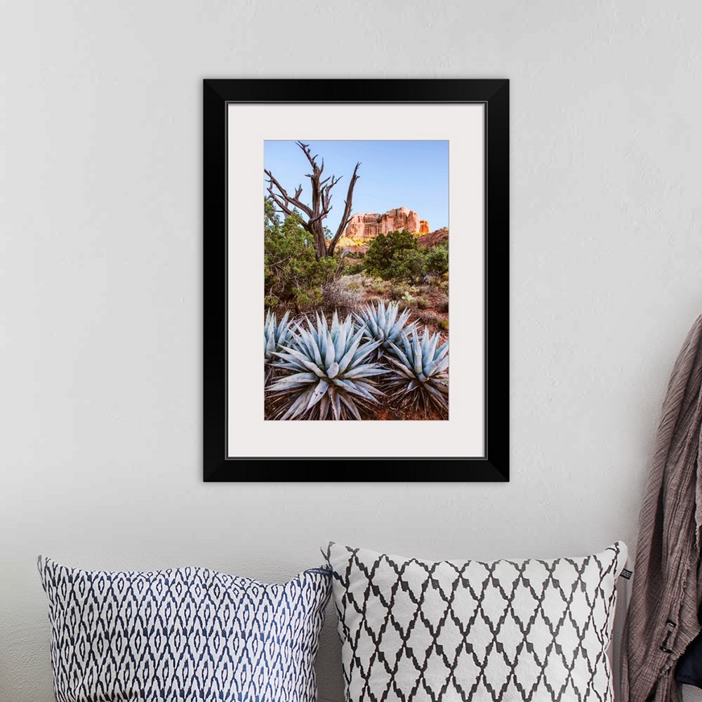 A bohemian room featuring View of agave plants with Cathedral Rock in the background, Sedona, Arizona.