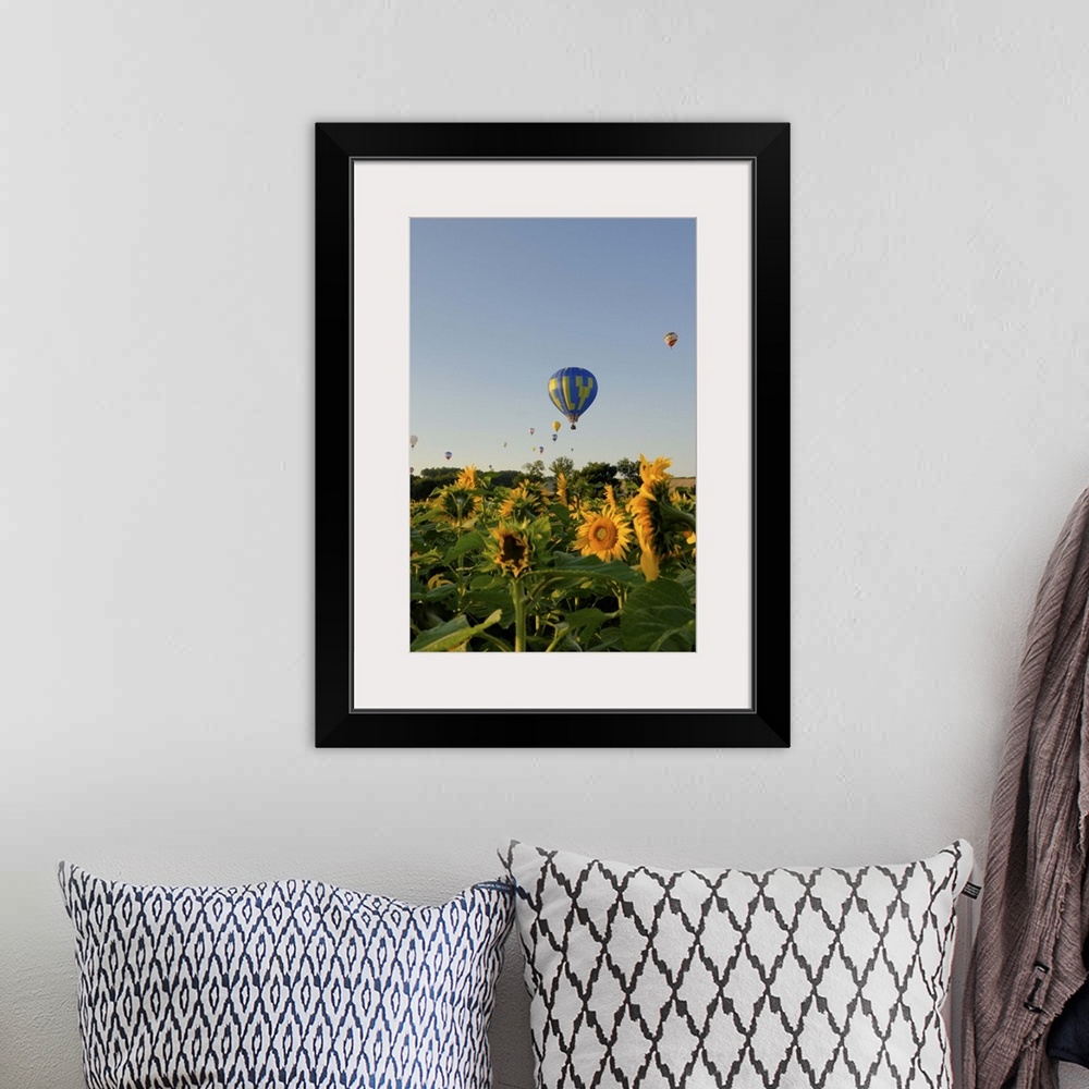 A bohemian room featuring Hot air ballooning over fields of sunflowers in the early morning, Charente, France