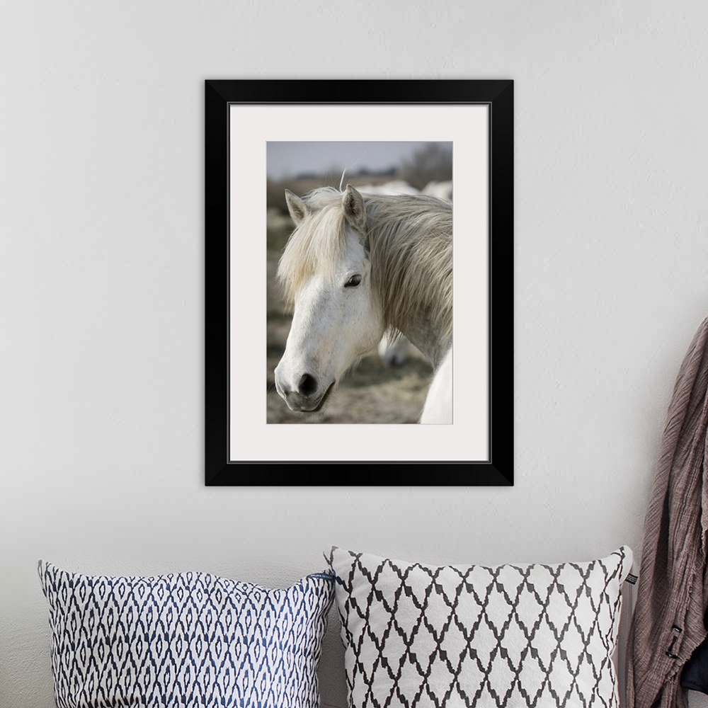 A bohemian room featuring Vertical canvas photo art of the up close of a horses head looking back at the camera.