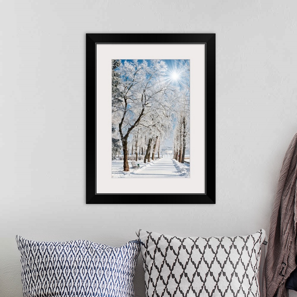 A bohemian room featuring Winter landscape with snow covered row of trees