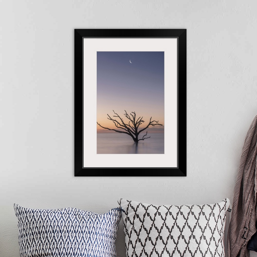 A bohemian room featuring A tree growing in the water off the coast of Botany Bay, South Carolina, under the moon in the ea...
