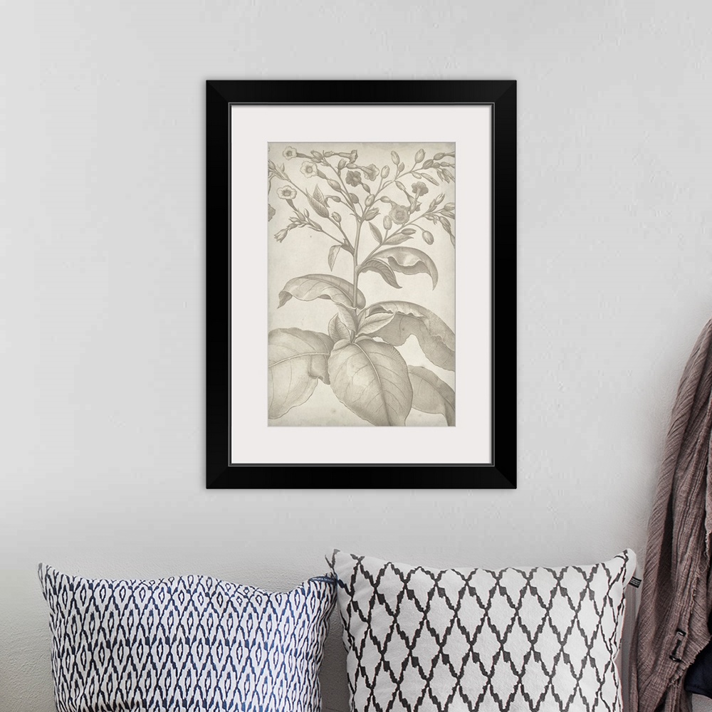 A bohemian room featuring Vintage-inspired botanical illustration.