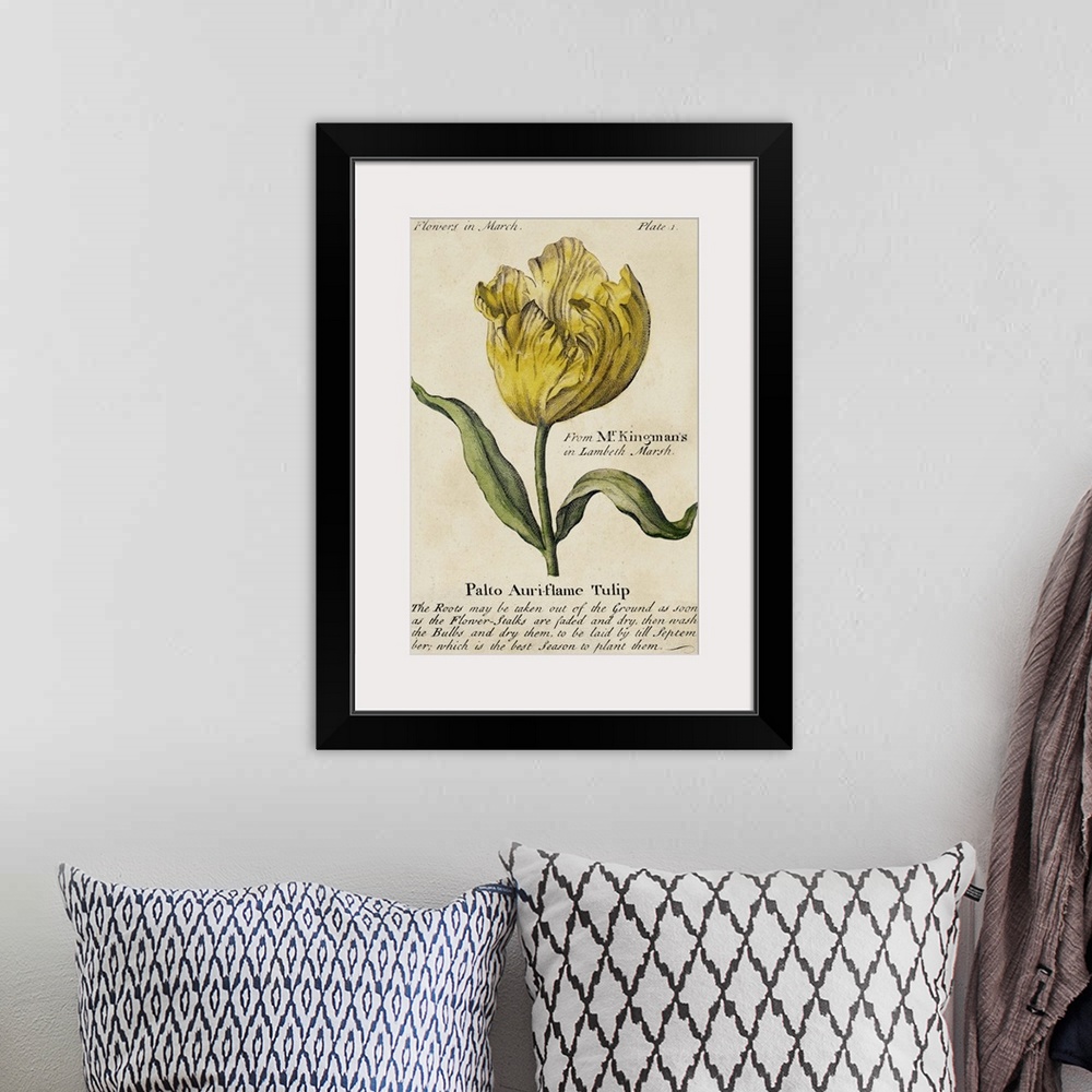 A bohemian room featuring Vintage stylized botanical illustration for a guide to gardening.