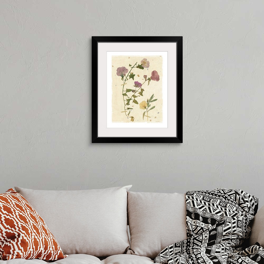 A bohemian room featuring Scan of pressed morning glory flowers on a textured beige background with a white boarder.