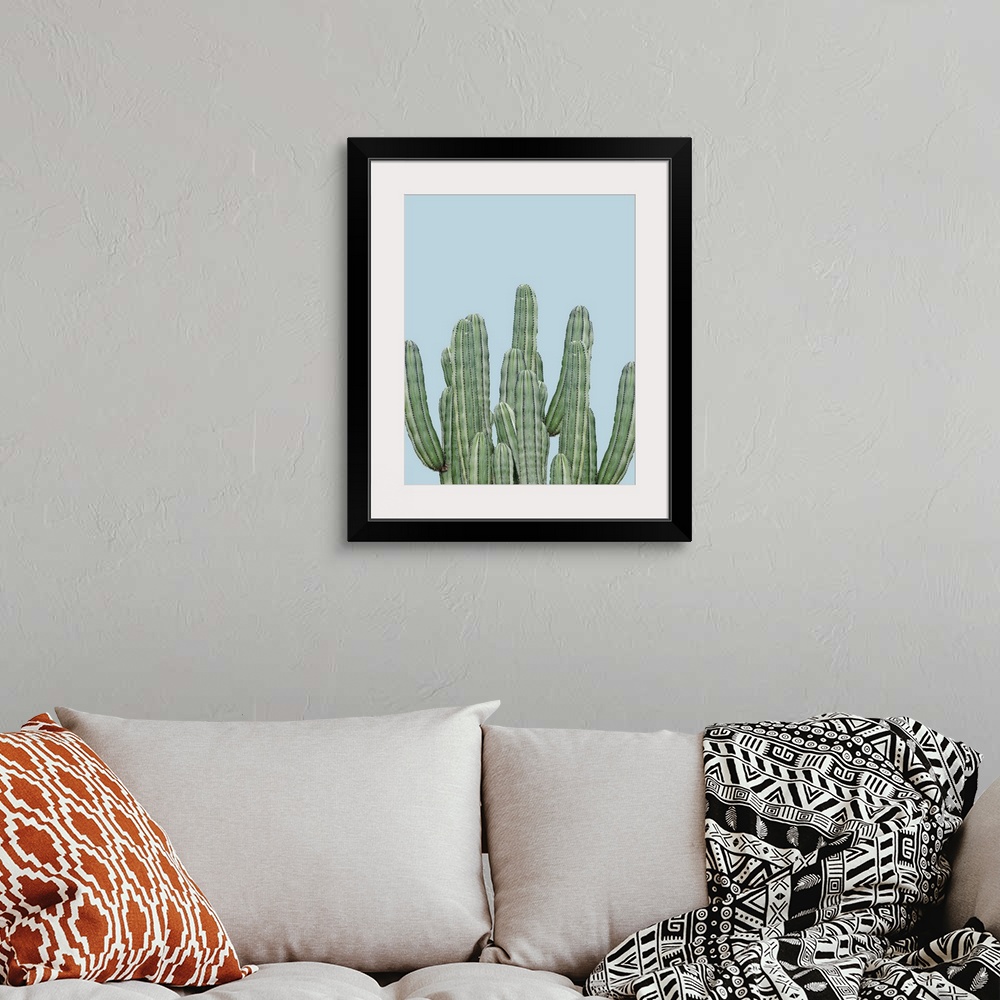 A bohemian room featuring Photograph of long, green cacti on a pale blue background.