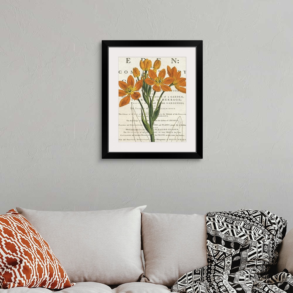 A bohemian room featuring Vintage stylized illustration of an orange euphorbia against a cream background with text.