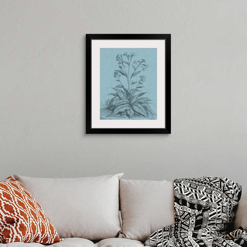 A bohemian room featuring This decorative artwork features an illustrative plant over a distressed blue background with a f...