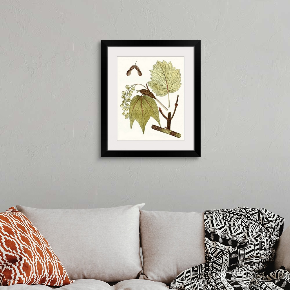 A bohemian room featuring A decorative vintage illustration of group of leaves.