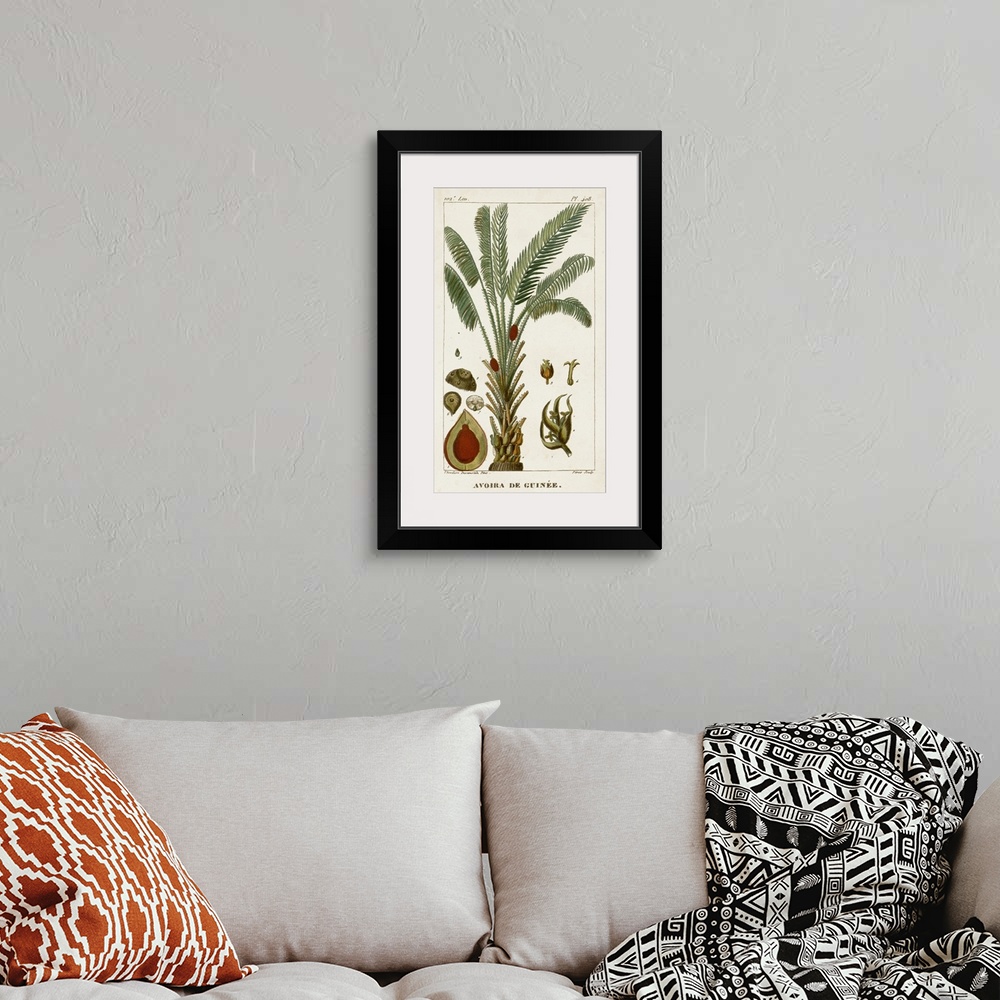 A bohemian room featuring A decorative vintage illustration of an exotic palm tree.