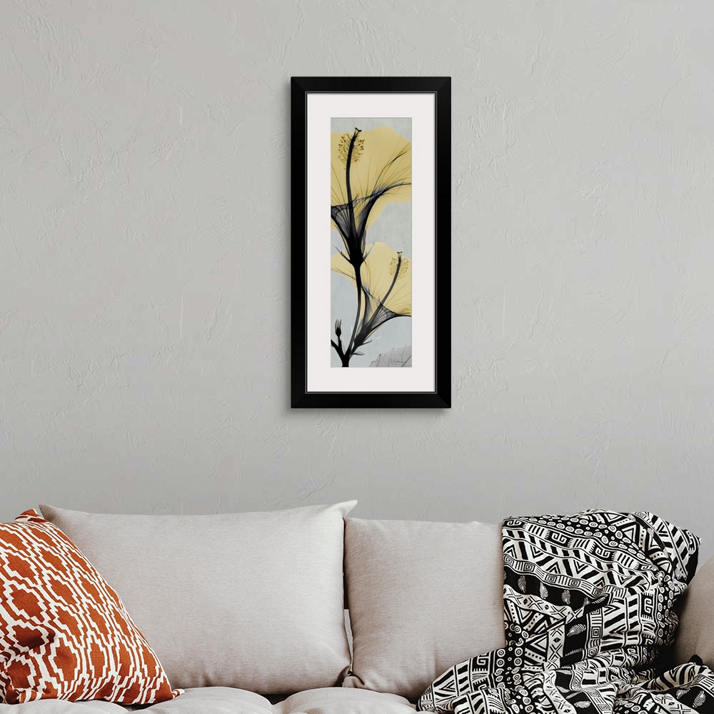 A bohemian room featuring Vertical x-ray photograph of two hibiscus flowers on a cool toned background.