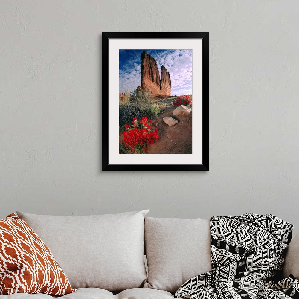A bohemian room featuring Paintbrush (Castilleja sp) and the Organ Rock, Arches National Park, Utah
