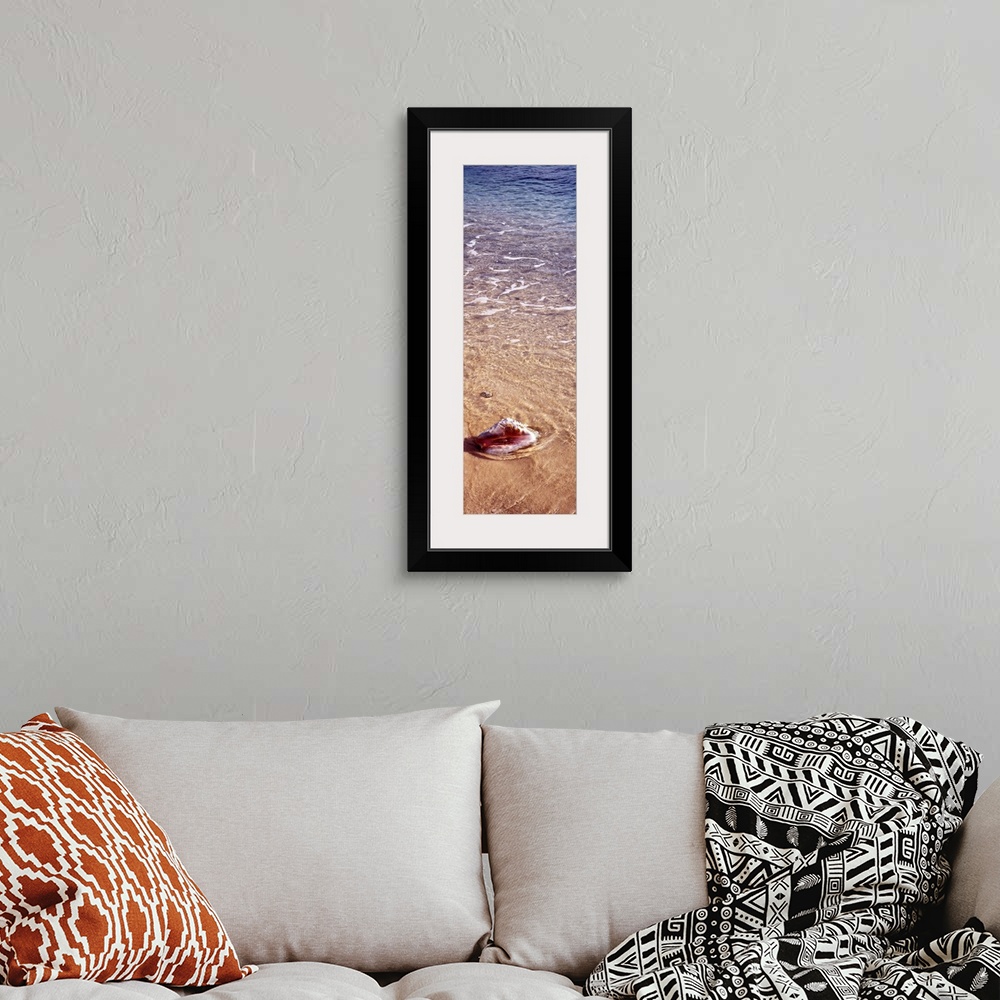 A bohemian room featuring Vertical panoramic of ocean waves running over a seashell in the sand.