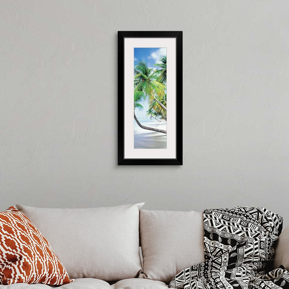 A bohemian room featuring Vertical photograph on an oversized canvas of palm trees growing at an angle toward the coast lin...