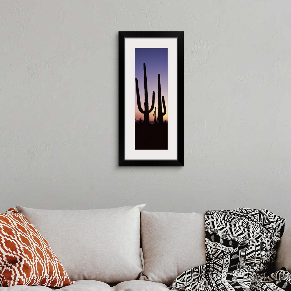 A bohemian room featuring Vertical panoramic photograph of cactus silhouettes in desert at sunset with mountains in the dis...
