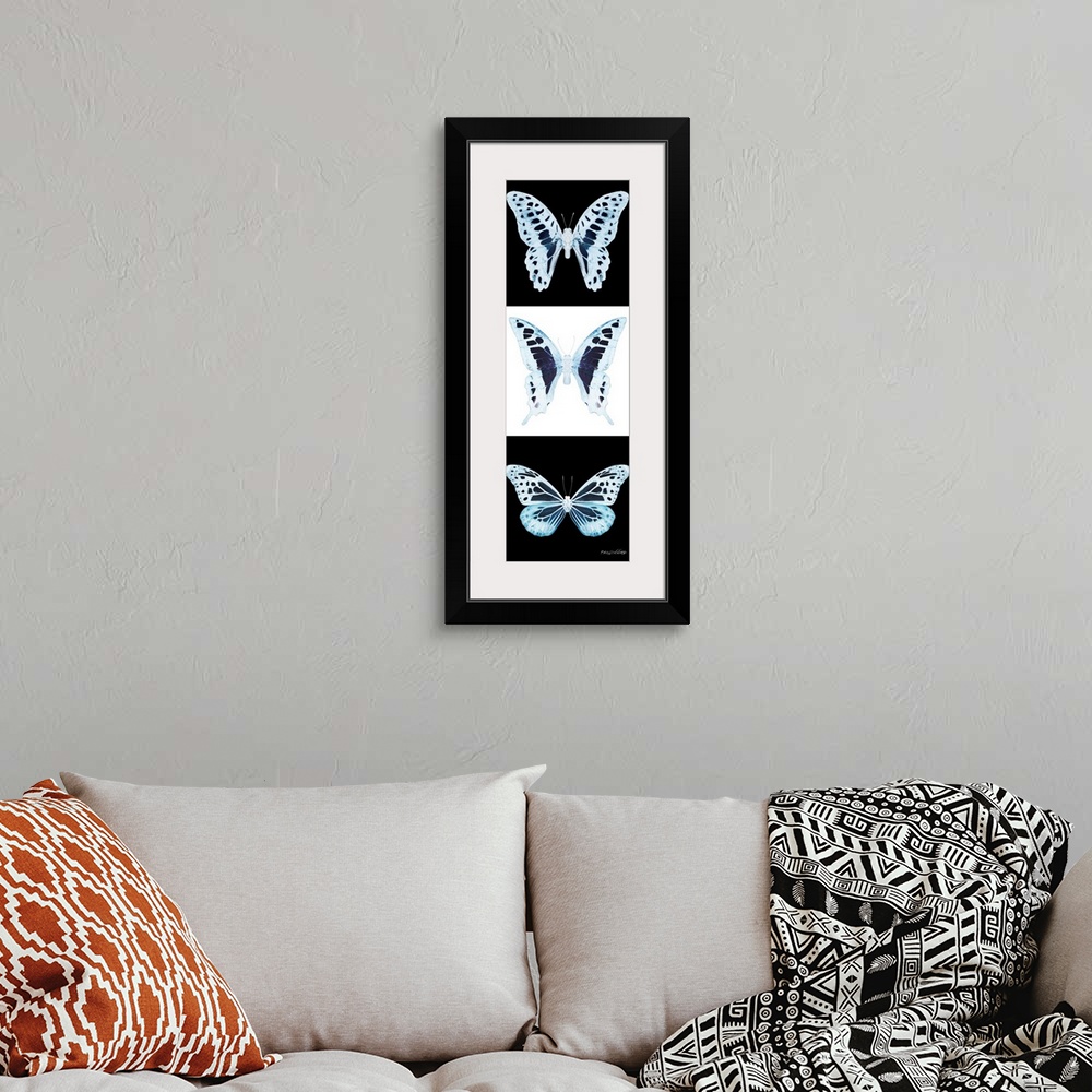 A bohemian room featuring Exclusive collection Miss Butterfly X-RAY. It is an astonishing series of X-ray photographs of ex...
