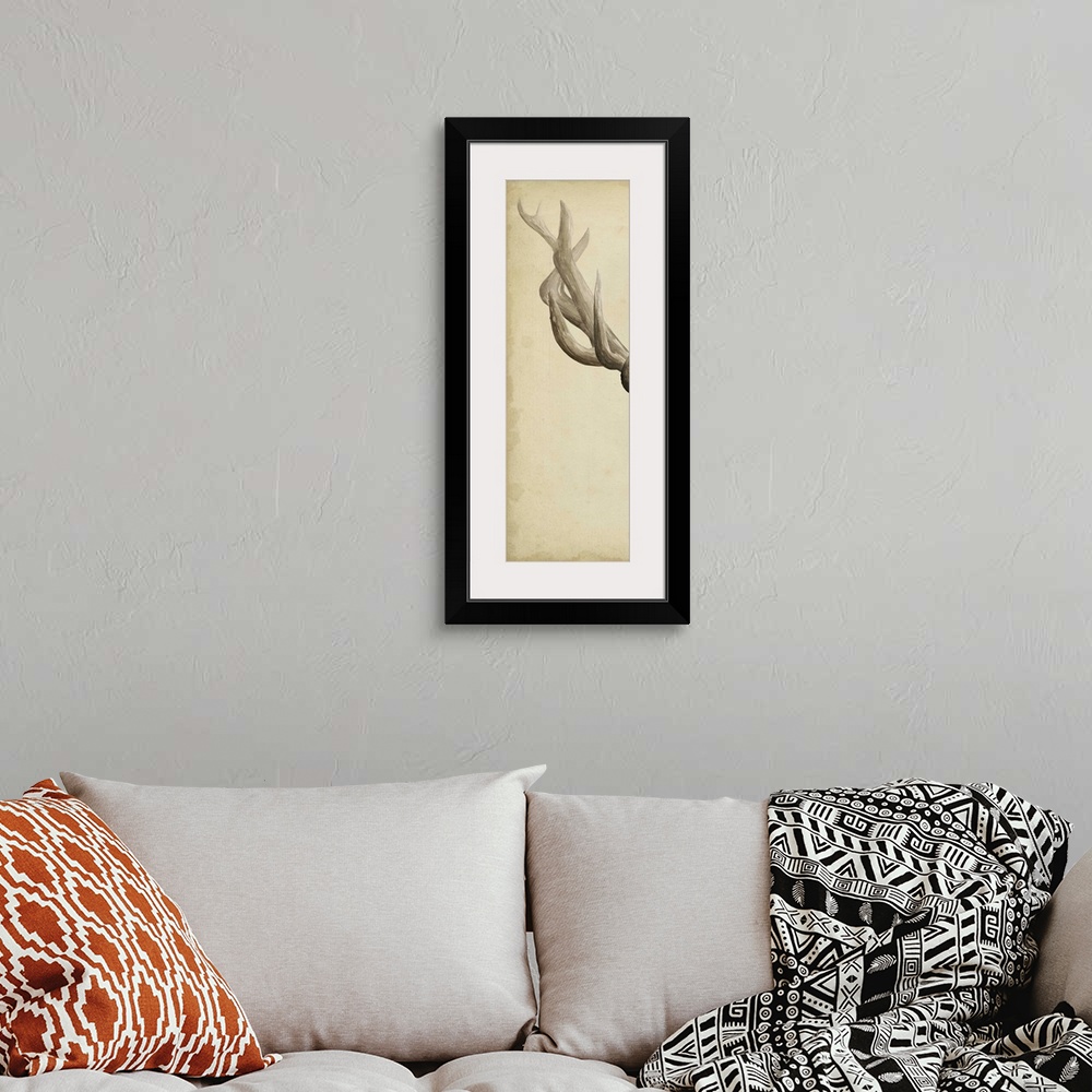 A bohemian room featuring Part of a triptych of a mounted elk and its antlers.