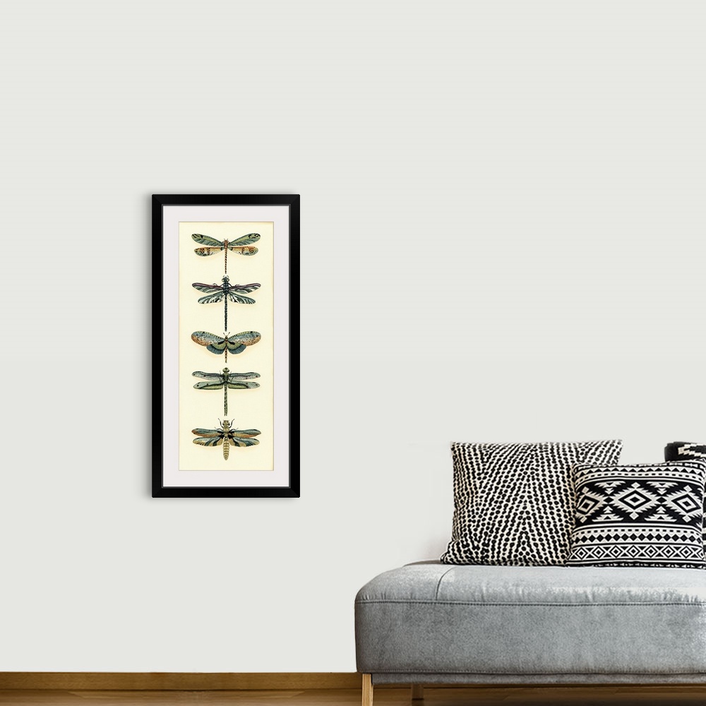A bohemian room featuring Dragonfly Collector II
