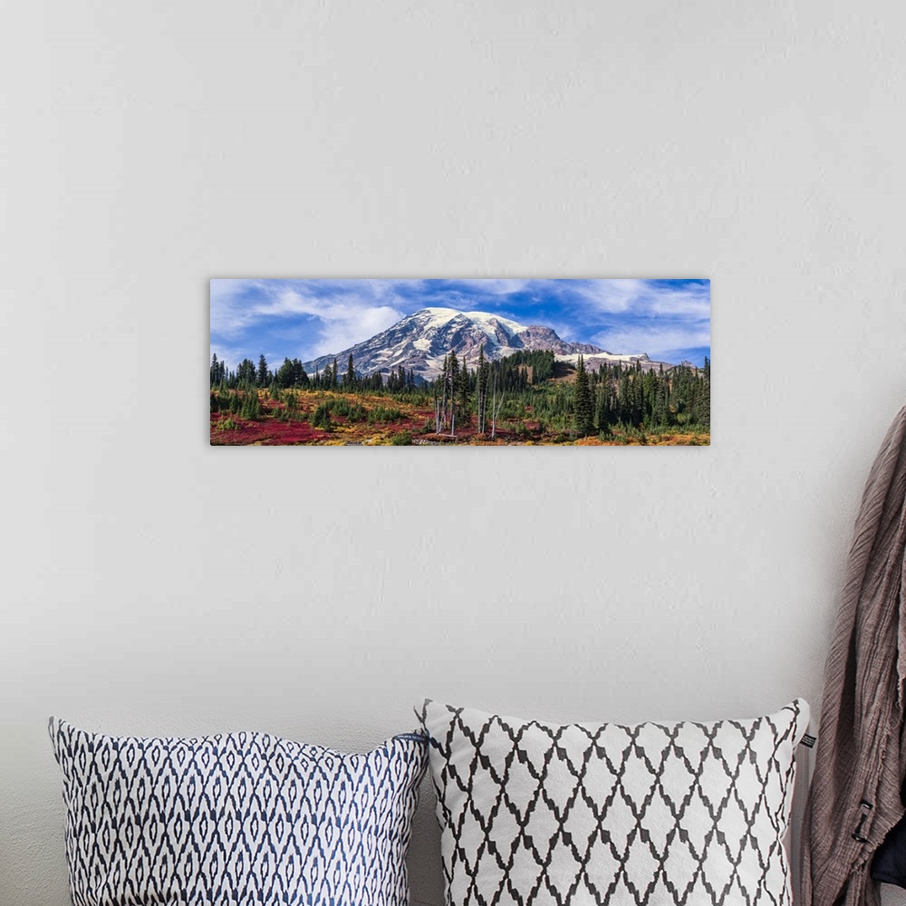 A bohemian room featuring Mount Rainier, Mount Rainier National Park; Washington, United States Of America