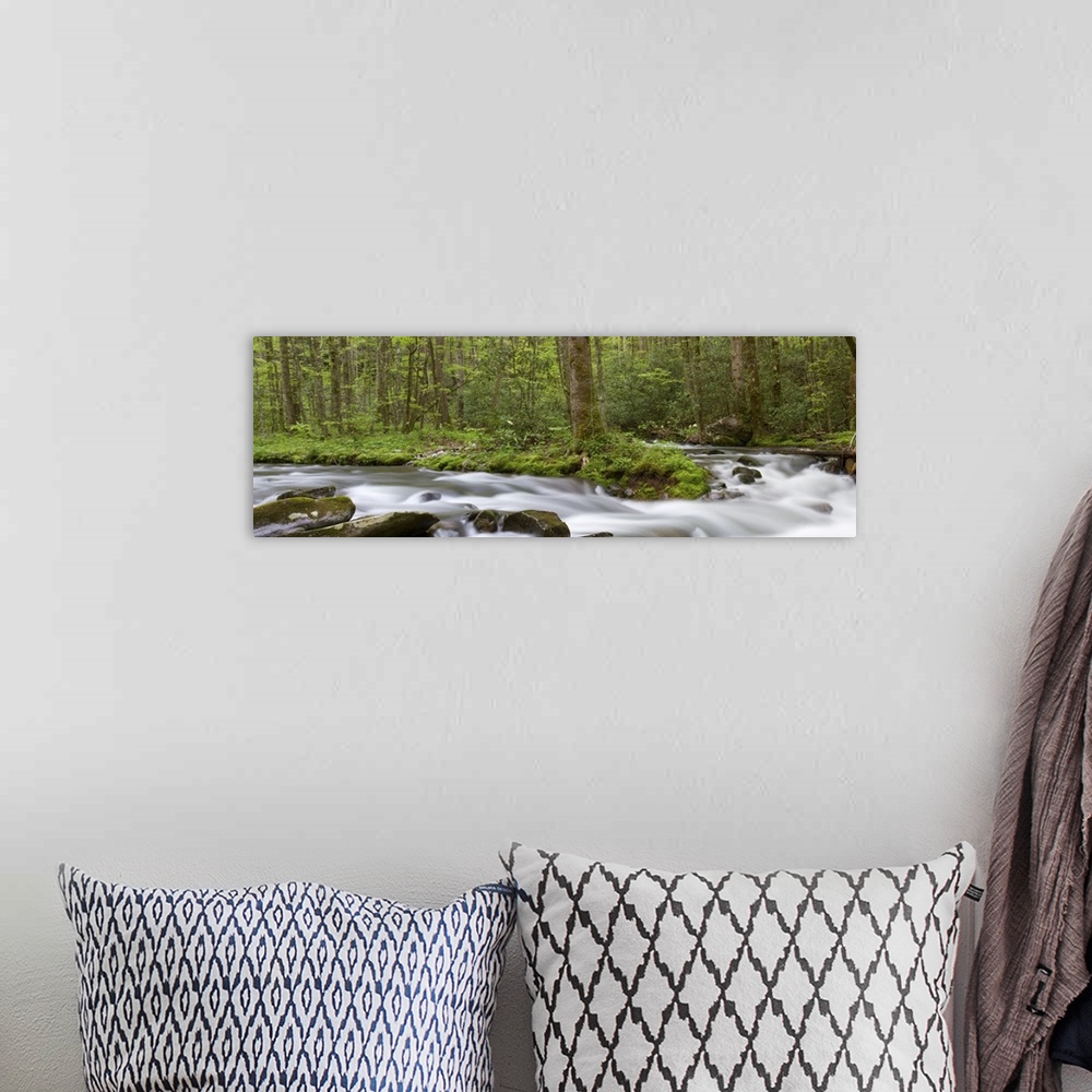 A bohemian room featuring Panoramic of Straight Fork Creek in spring, Great Smoky Mountains National Park, North Carolina
