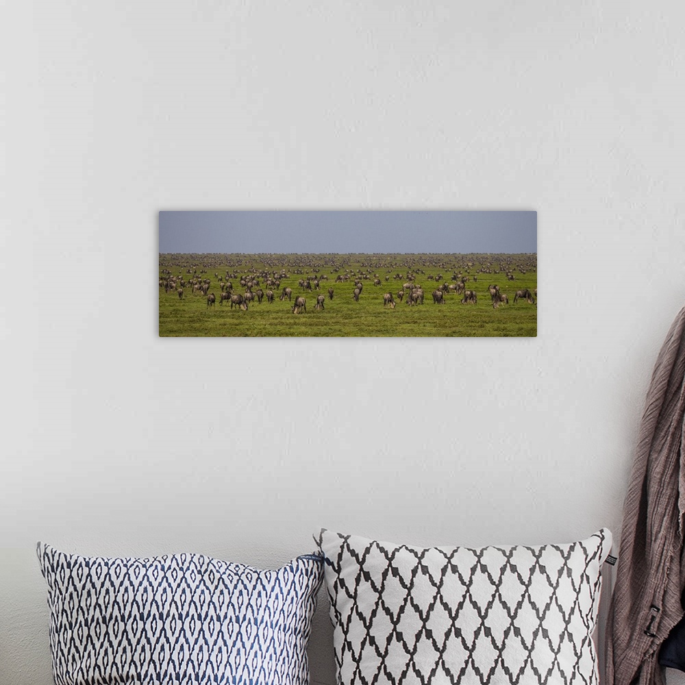 A bohemian room featuring Tanzania, Wildebeest