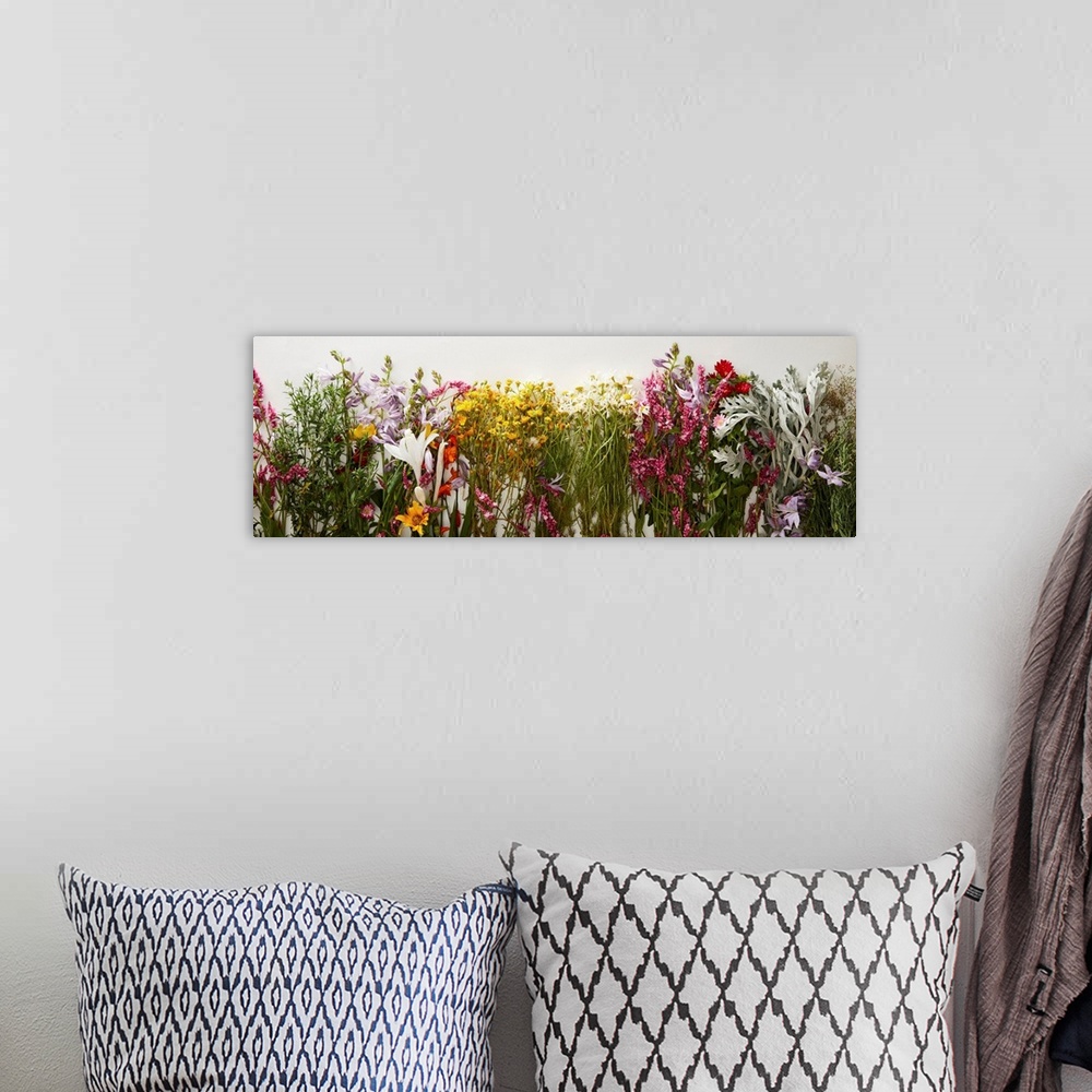 A bohemian room featuring Panoramic shot of bunches of diverse wildflowers on white background.