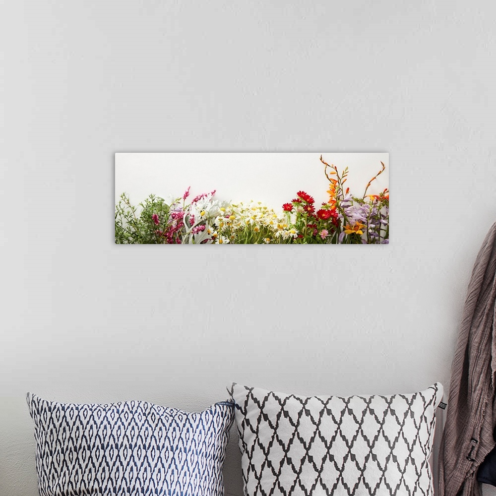 A bohemian room featuring Panoramic shot of bunches of diverse wildflowers on white background with copy space.