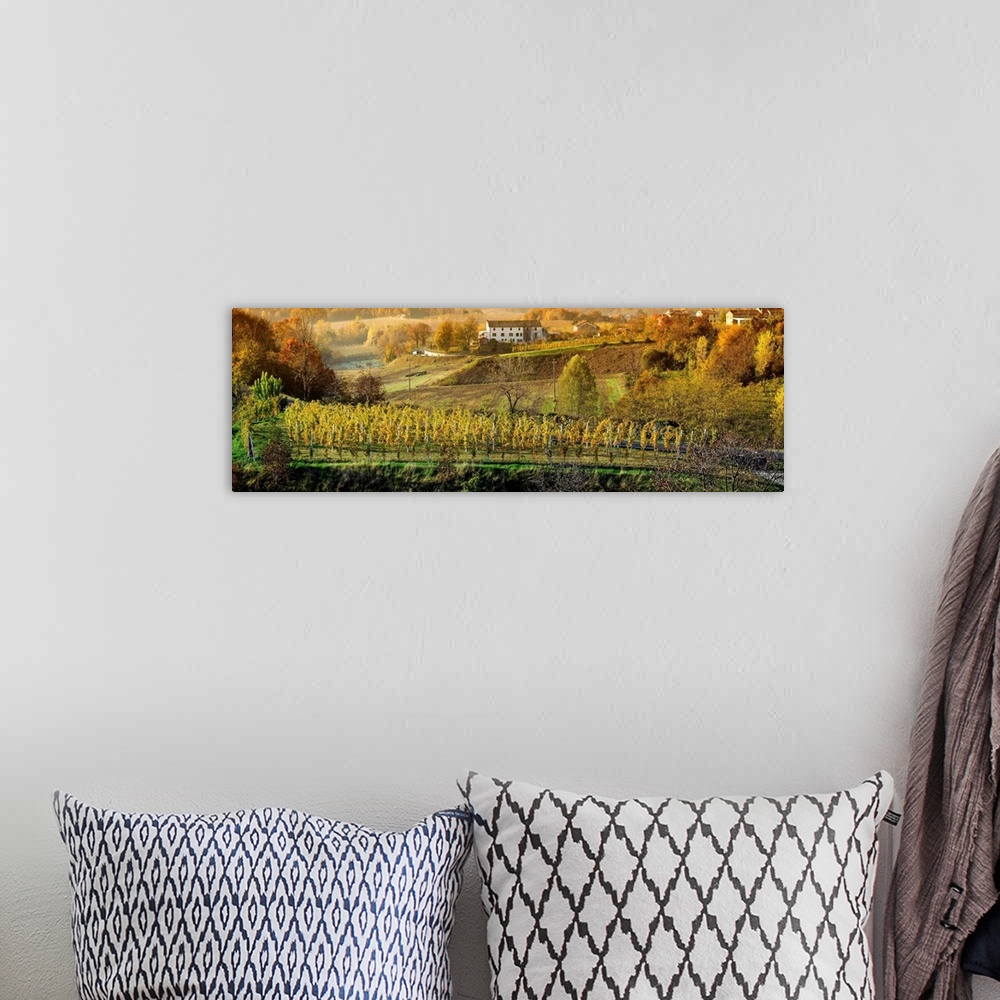 A bohemian room featuring Italy, Veneto, Treviso, Prosecco Road, landscape with vineyards to Autumn