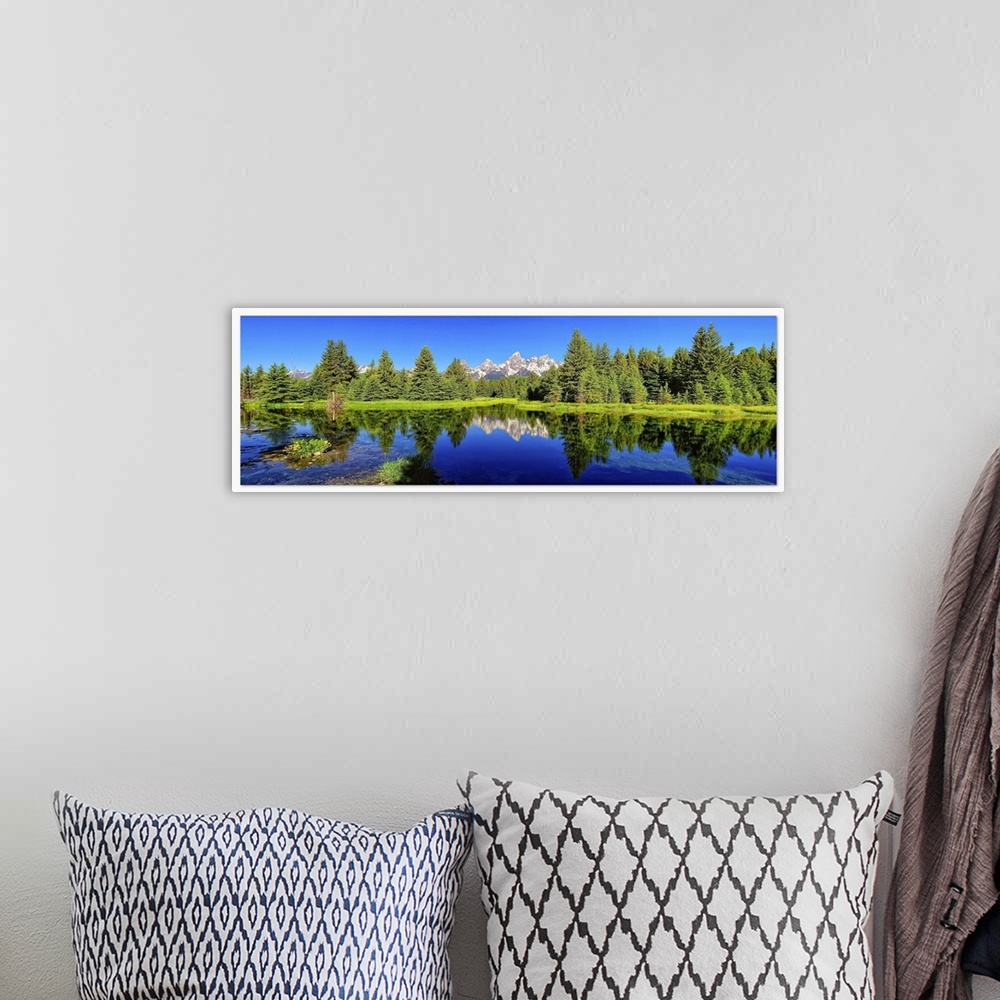 A bohemian room featuring Trees and peak reflection in Beaver pond, Grand Teton National Park