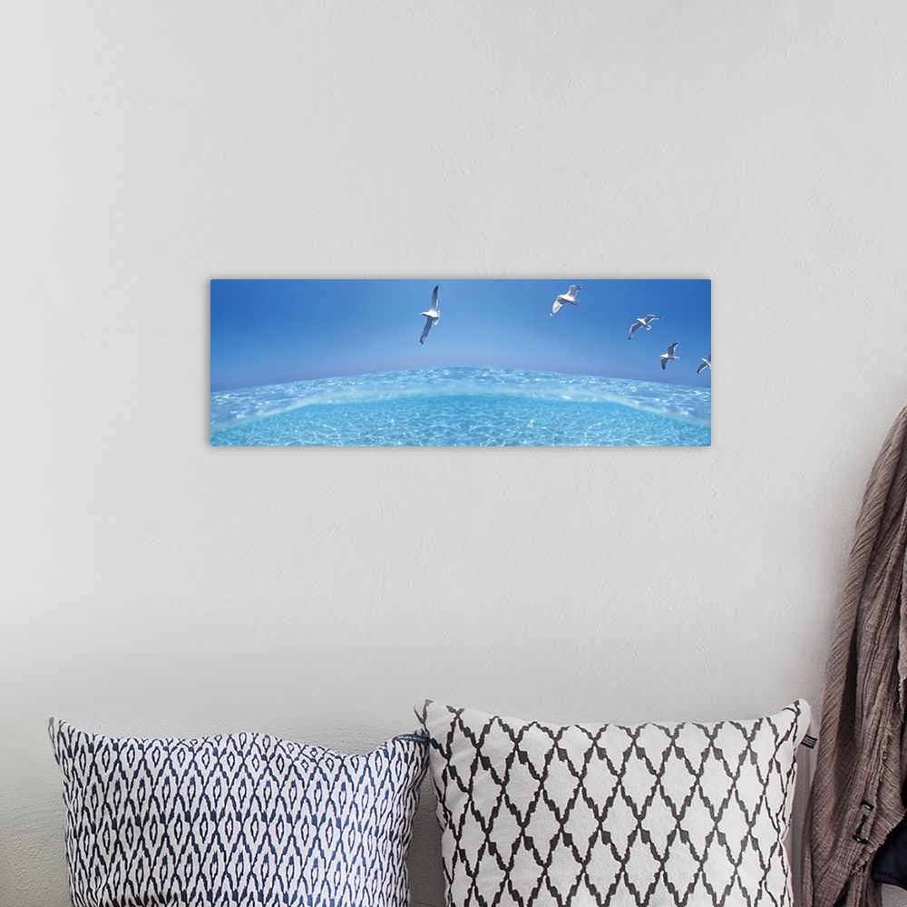 A bohemian room featuring Birds flying over sea