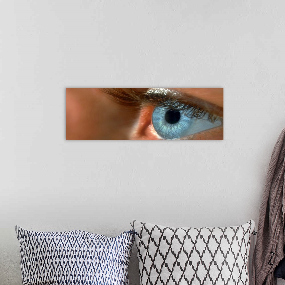 A bohemian room featuring Close-up of a human eye