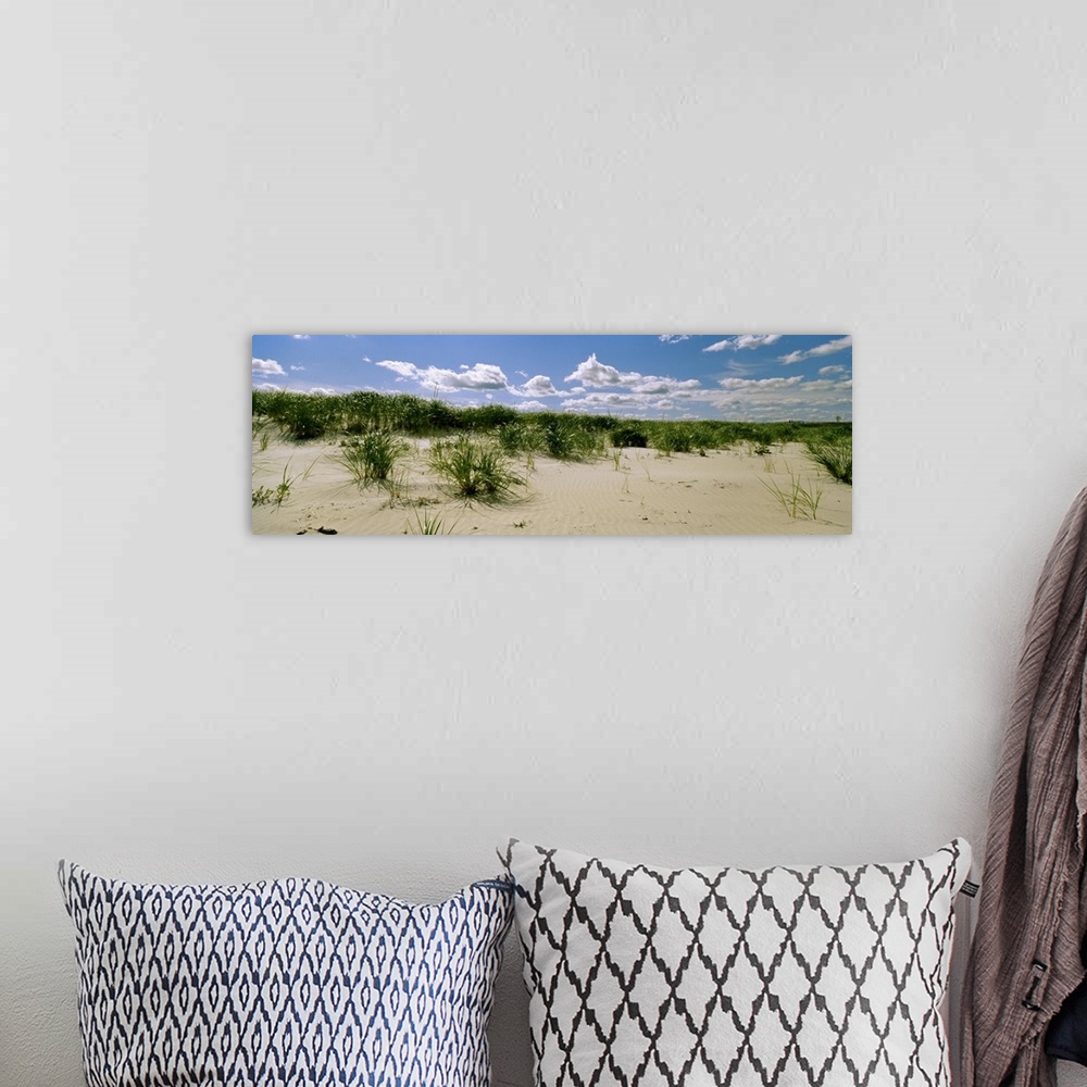 A bohemian room featuring Grass among the dunes, Crane Beach, Ipswich, Essex County, Massachusetts