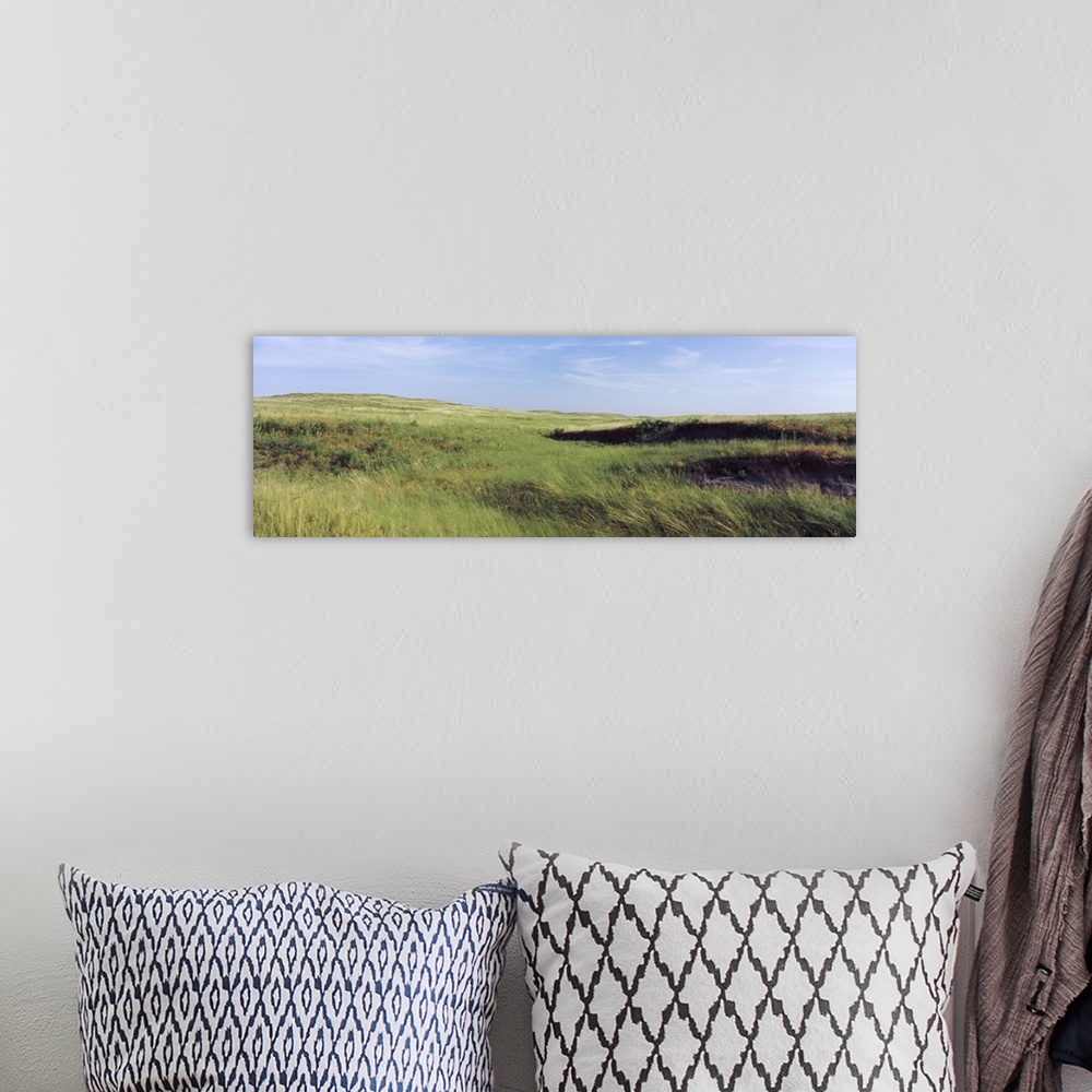 A bohemian room featuring Grass in a field, Whitetail Creek, Keith County, Nebraska,