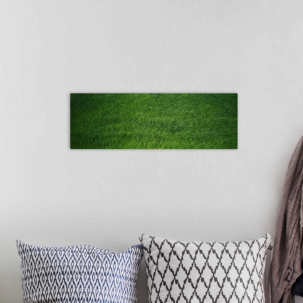 A bohemian room featuring Green grass