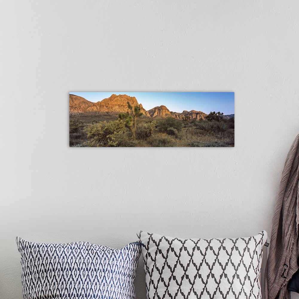A bohemian room featuring Joshua trees in a desert, Red Rock Canyon, Las Vegas, Nevada