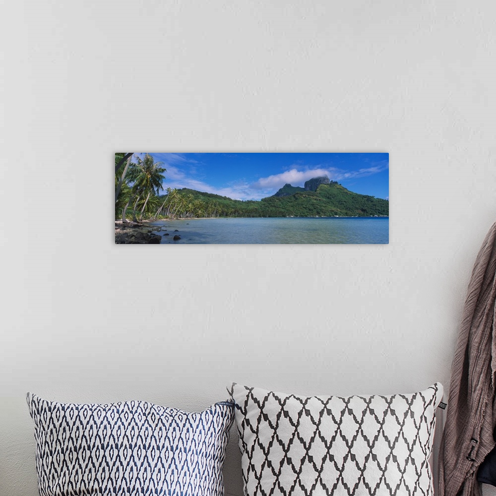 A bohemian room featuring Palm trees on the beach, Bora Bora, French Polynesia