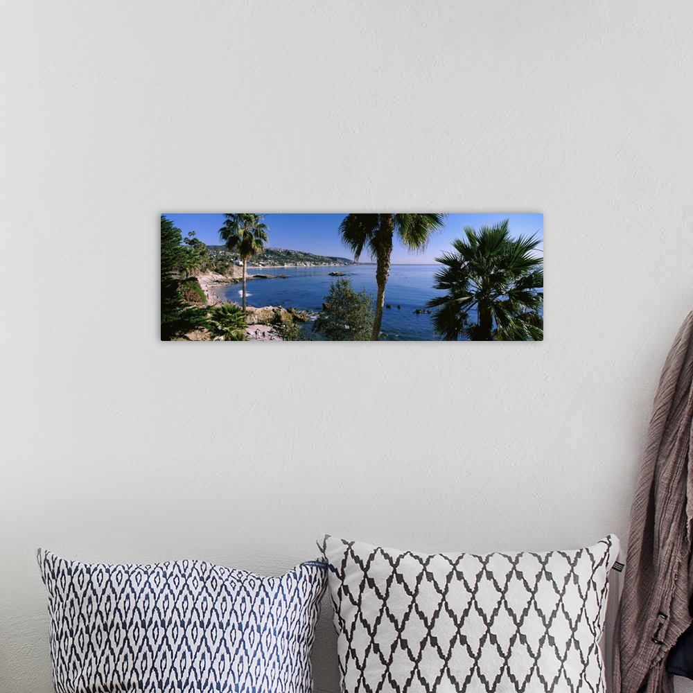 A bohemian room featuring Palm trees on the beach, Laguna Beach, Orange County, California, USA