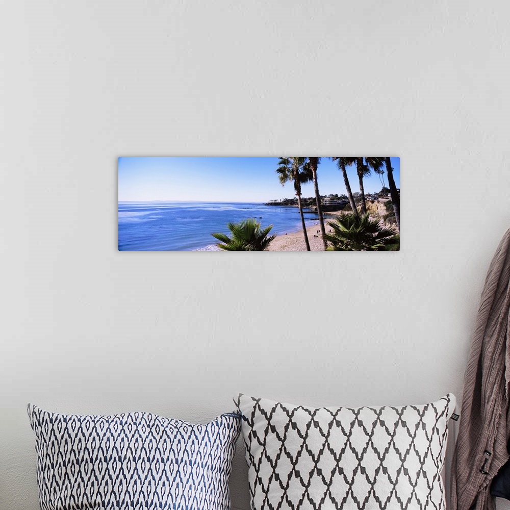 A bohemian room featuring Palm trees on the beach, Laguna Beach, Orange County, California, USA