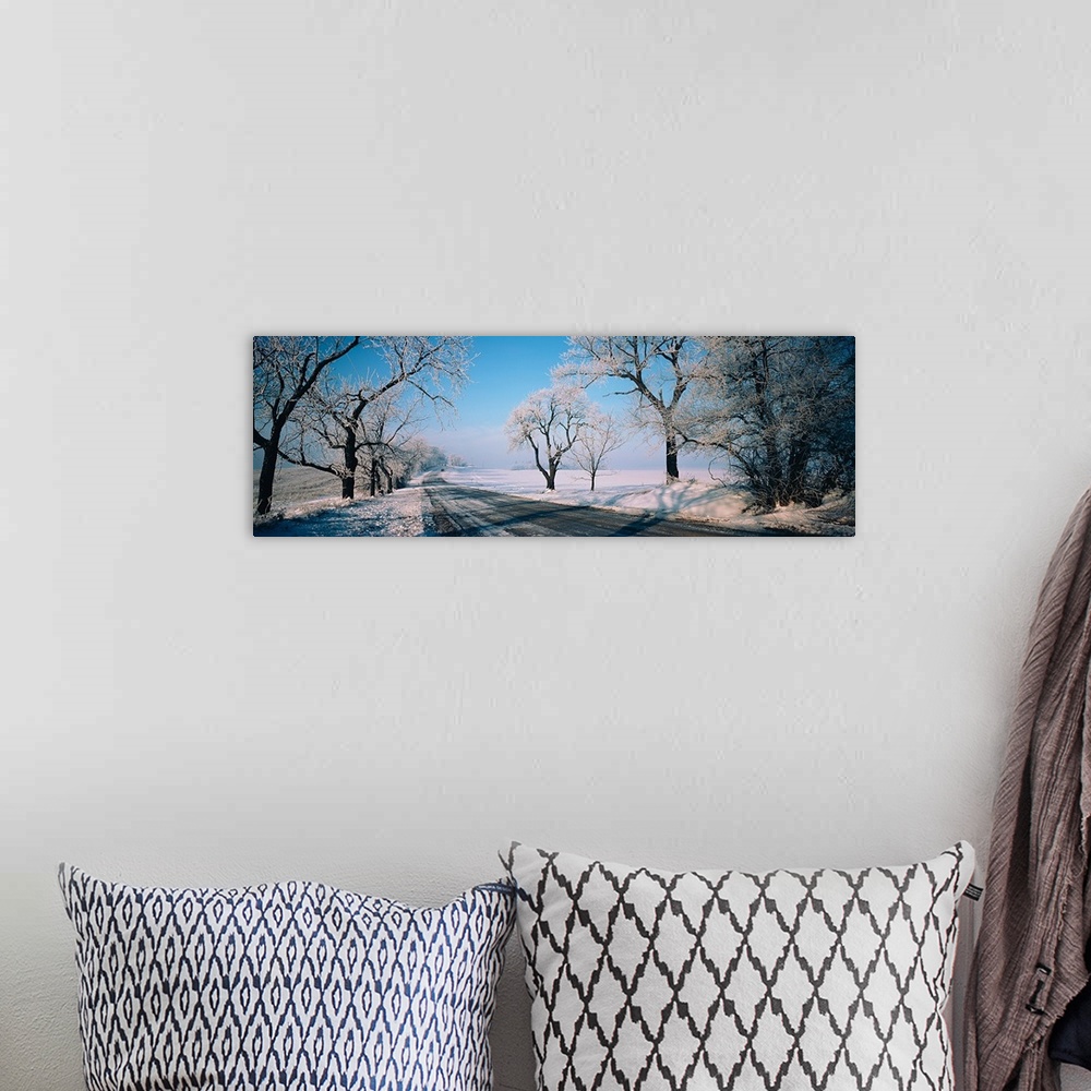 A bohemian room featuring Road passing through winter fields, Illinois,